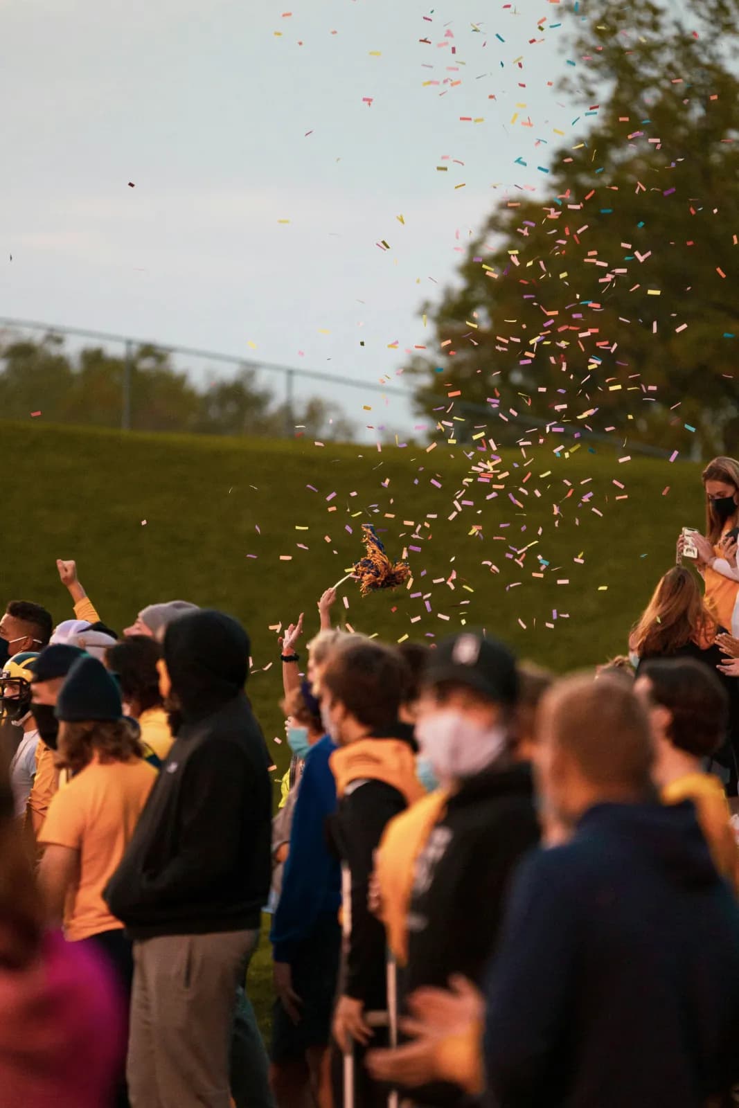 Crowd at a live event